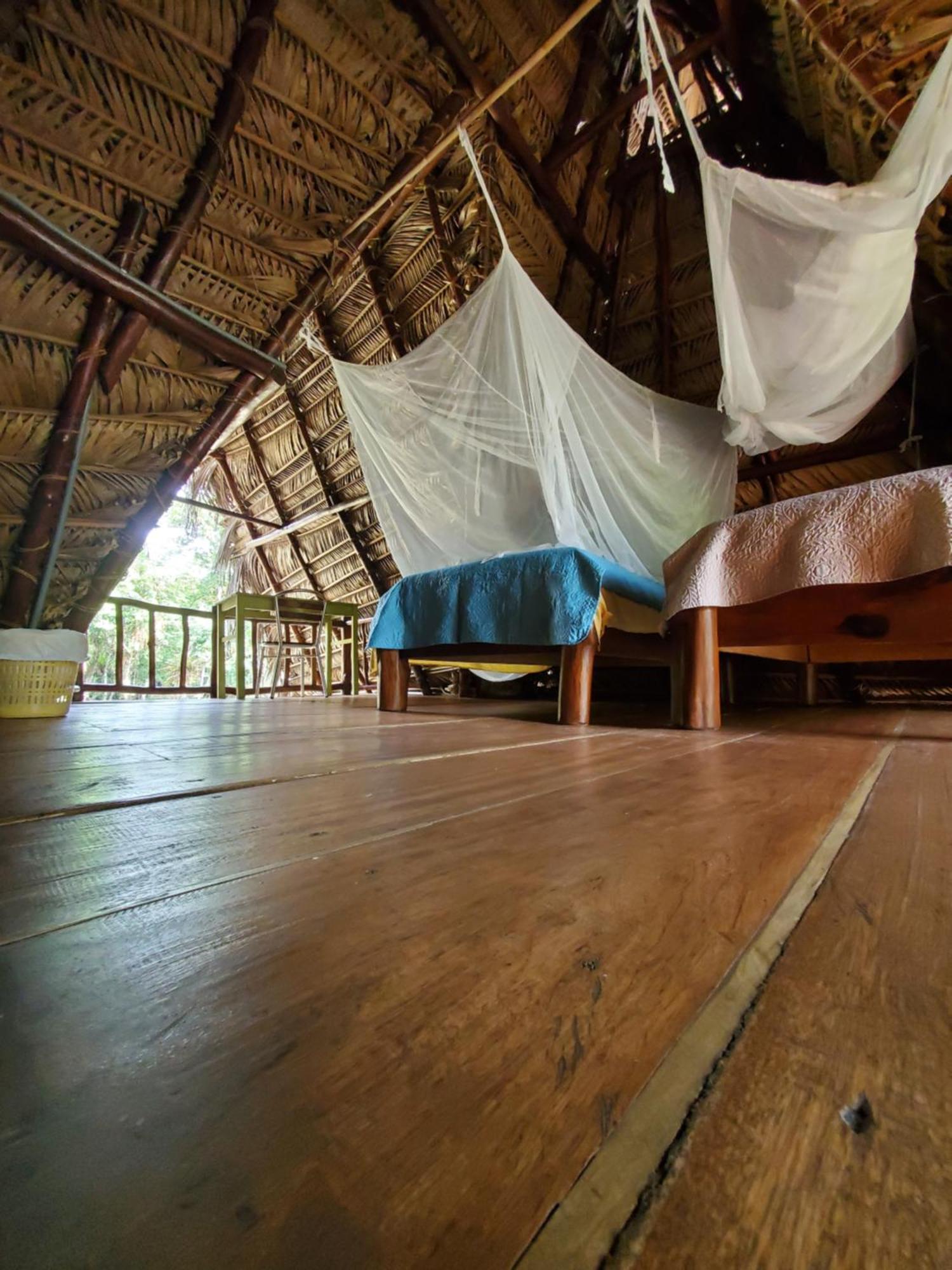 Hotel Casa Perico Rio Dulce Town Zewnętrze zdjęcie