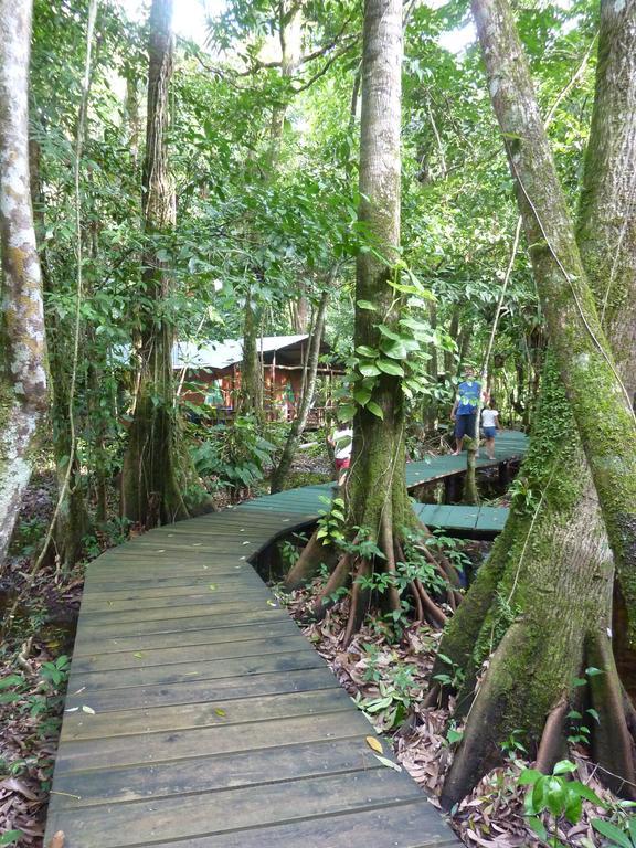 Hotel Casa Perico Rio Dulce Town Zewnętrze zdjęcie