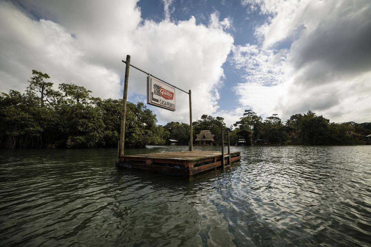 Hotel Casa Perico Rio Dulce Town Zewnętrze zdjęcie